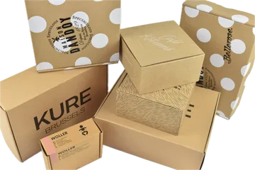 Livraison express Colis dans Zwijnaarde Belgique